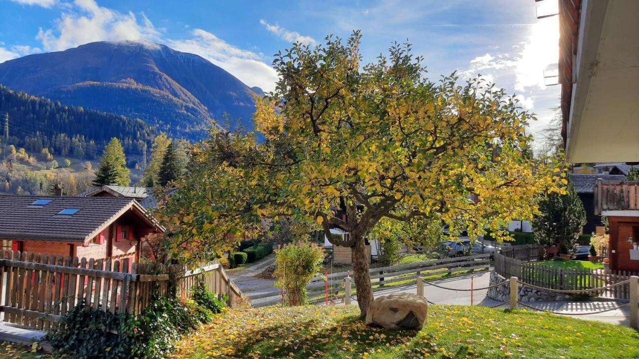 Haus Sandra * Fiesch